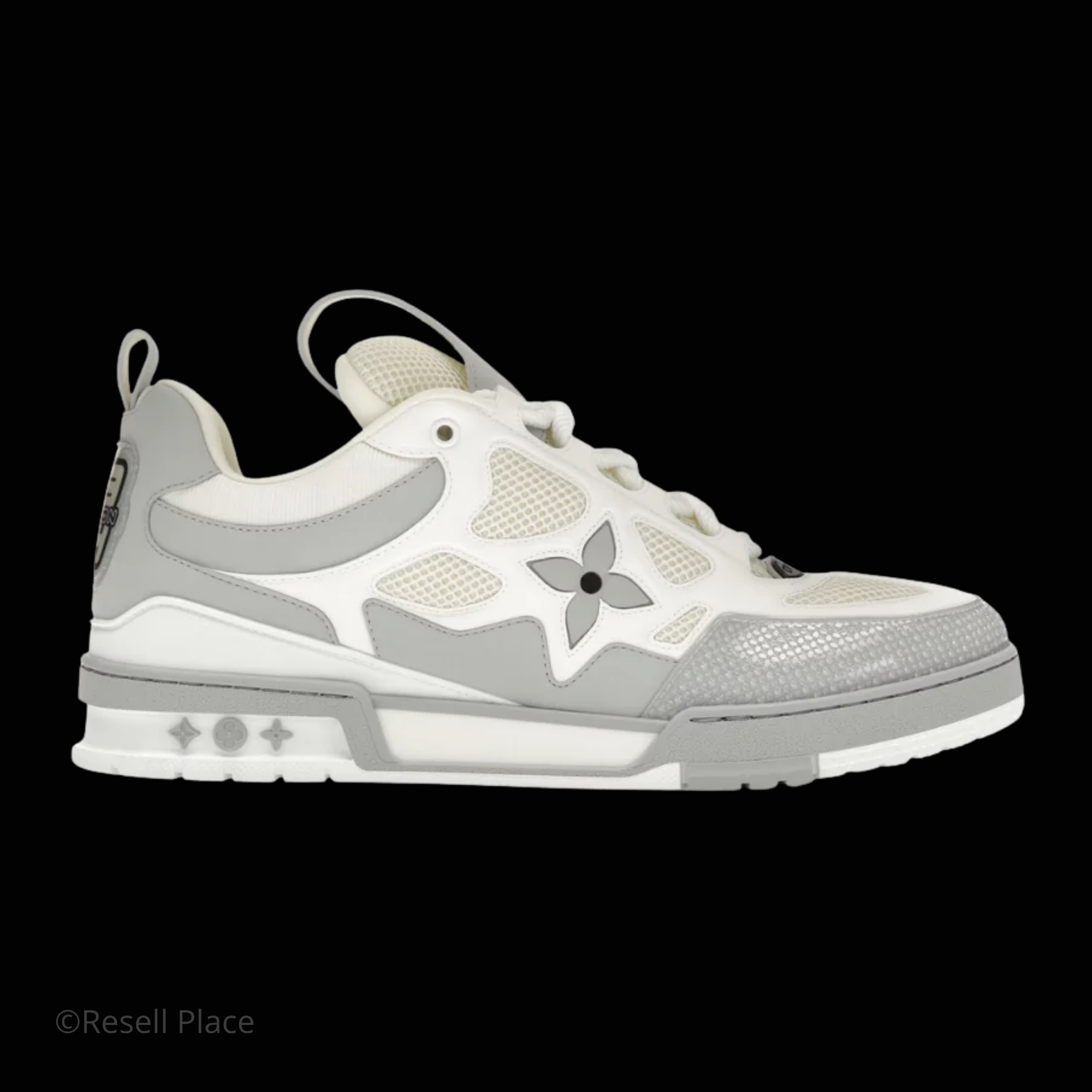 LOUIS VUITTON SKATES